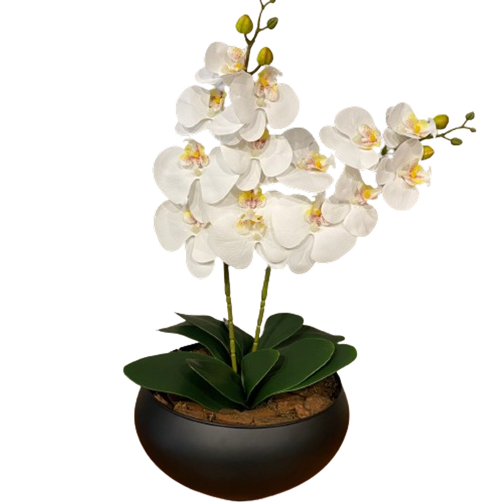 2 Orquídeas Branca Artificial Arranjo Centro de Mesa Vaso Grande