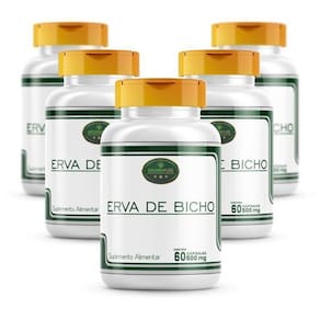 Kit 5 Potes Erva De Bicho 100% Natural E Pura Cáps 500Mg