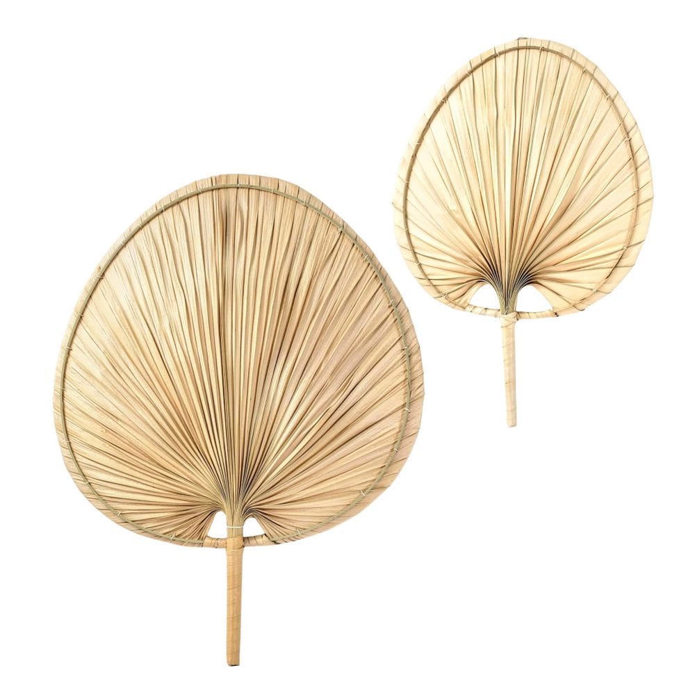 Kit Folha Decorativa Em Fibra Natural Para Parede P