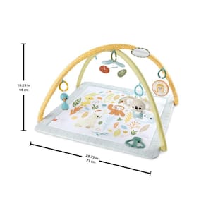 Fisher-Price Ginásio Primeiros Sentidos - Mattel
