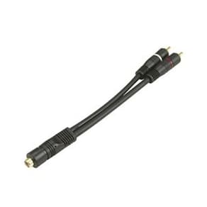 Cabo Y RCA Para Módulo de Som 1 Fêmea 2 Macho 20 cm Ouro
