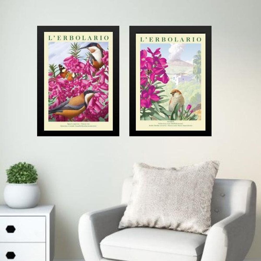 Kit 2 Quadros Passarinhos Com Flores Rosas 24X18Cm - Vidro