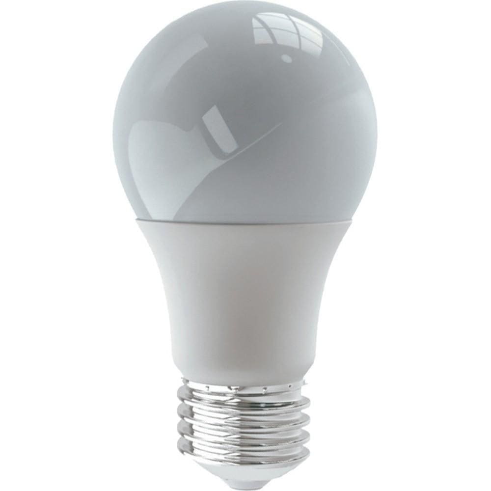 Lâmpada Bulbo Led 12w 6500k E27 Bivolt Luminatti