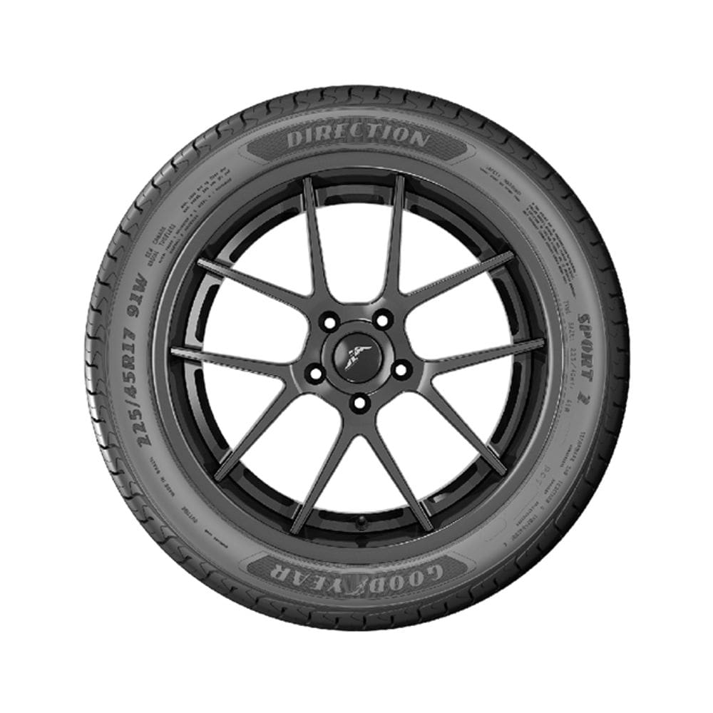 Pneu Aro 17 Goodyear 225/45R17 91V Direction 2