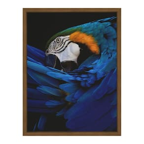 Quadro 60cm X 80cm Papagaio Tropical Artes Freijó