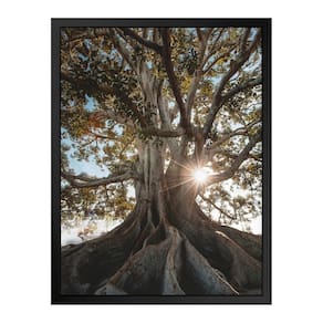 Quadro 60cm X 80cm Raízes da Árvore Tropical Artes Preto