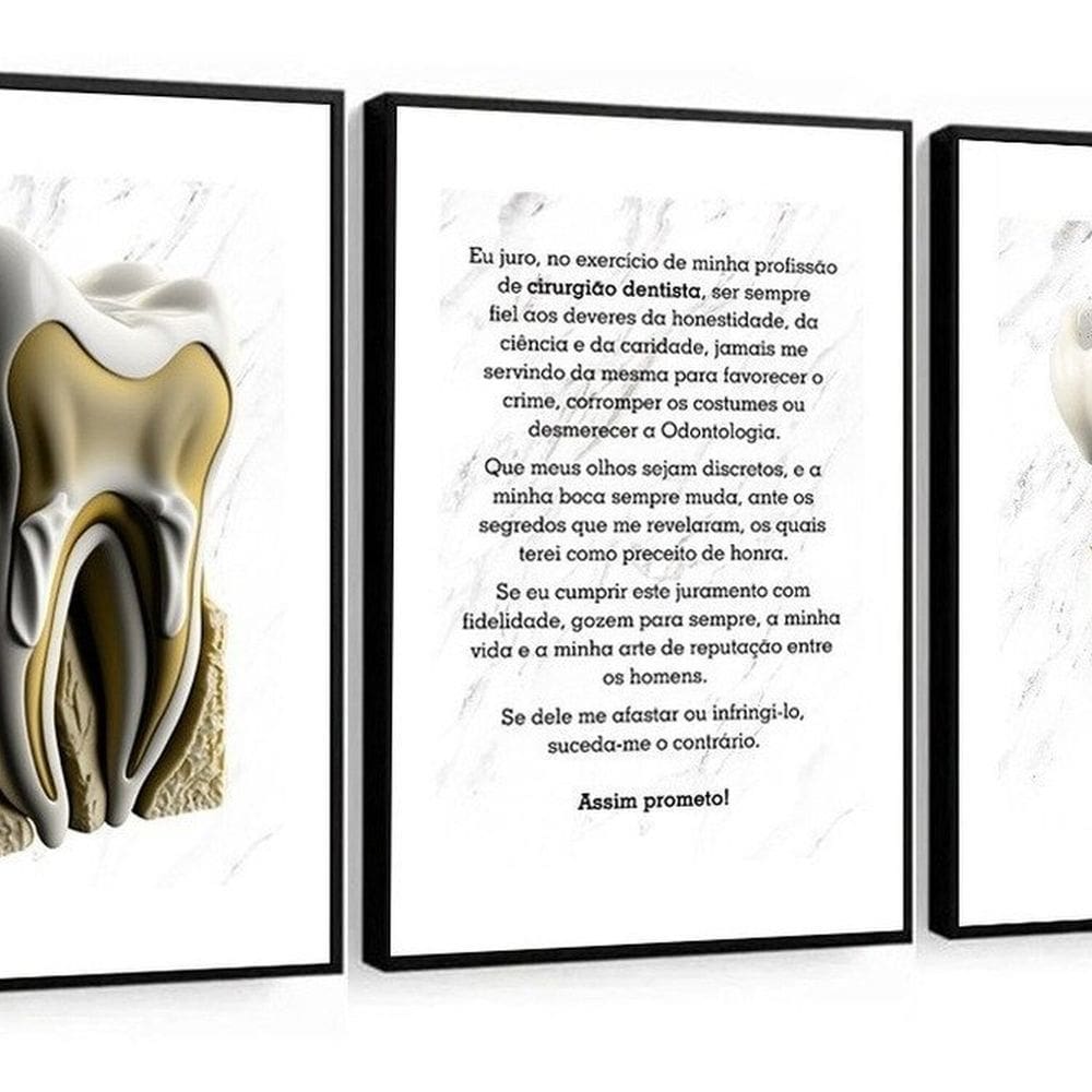 Kit 3 Quadros Decorativos Odontologia Dentistas Juramento 60x40 Vinil Colorido