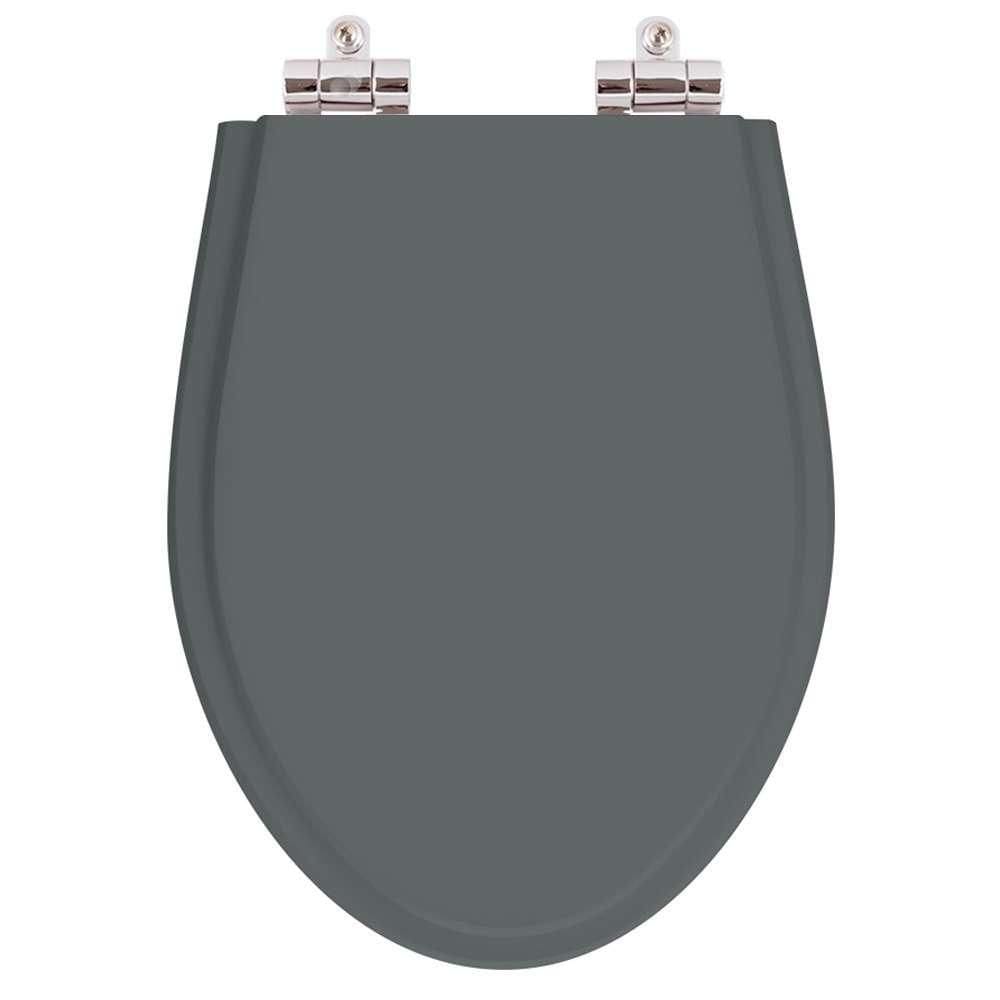 Assento Sanitario Poliester Com Amortecedor Absolute Cinza Quartzo Para Vaso Ideal Standard