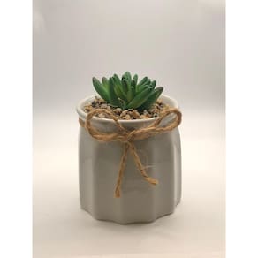 Vaso com suculenta em dolomita e plastico cor cinza