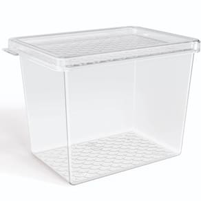 Organizador de Geladeira Multiuso Cozinha 1,3L com Tampa Transparente Frutas Verduras UZ