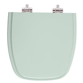 Assento Sanitario Poliester Com Amortecedor Fit Agua Marinha (verde Agua) Para Vaso Celite
