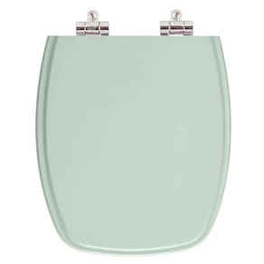 Assento Sanitario Poliester Com Amortecedor Stylus Agua Marinha (verde Agua) Para Vaso Celite