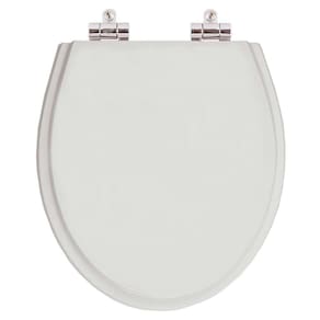 Assento Sanitario com Amortecedor Windsor Cinza Real para Vaso Deca