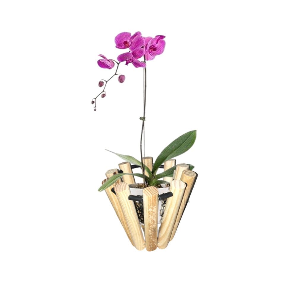 Kit 4 Cachepô Orquídeas Cesto Madeira Jardineira Flores