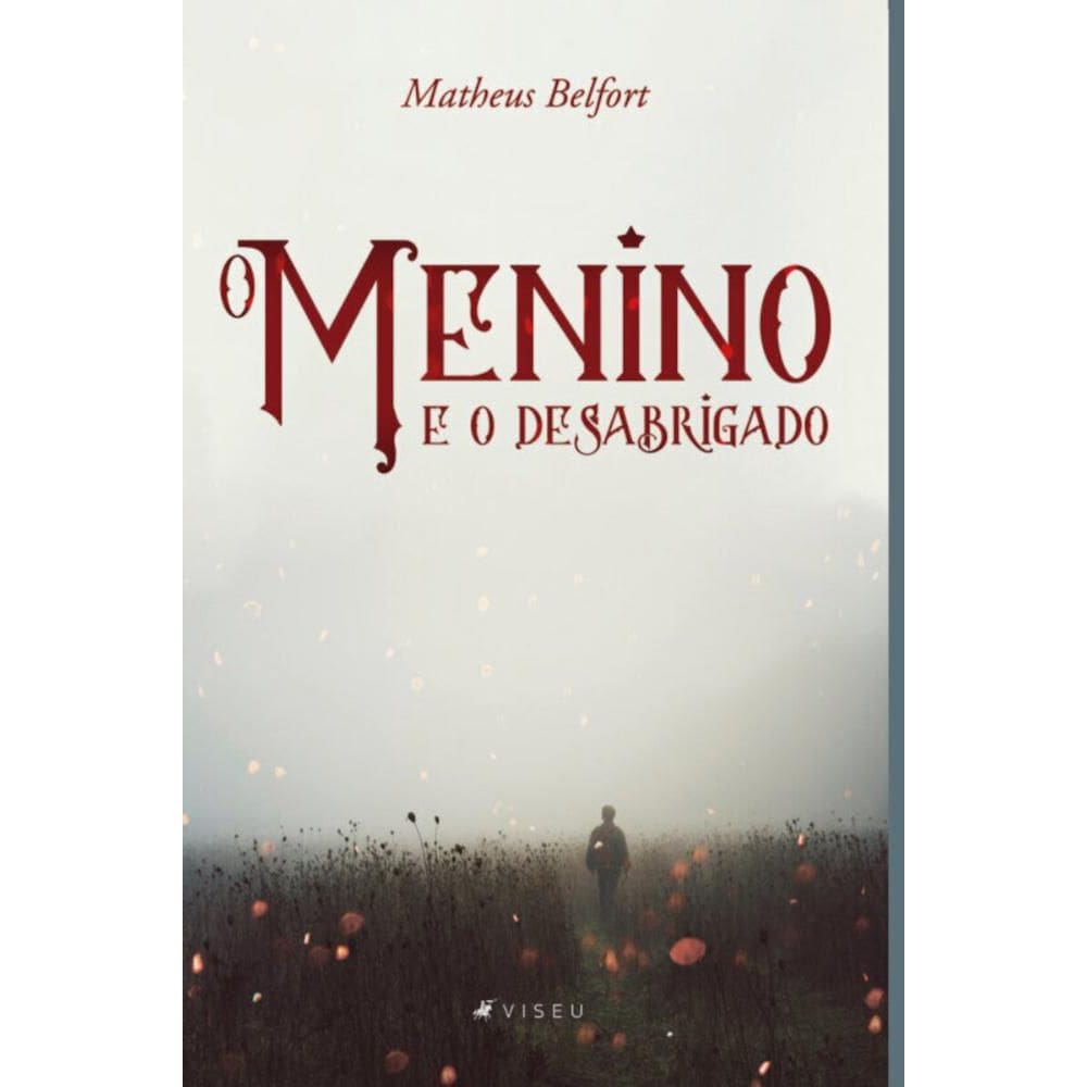 O menino e o desabrigado