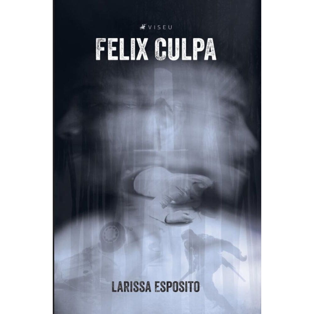 Felix Culpa