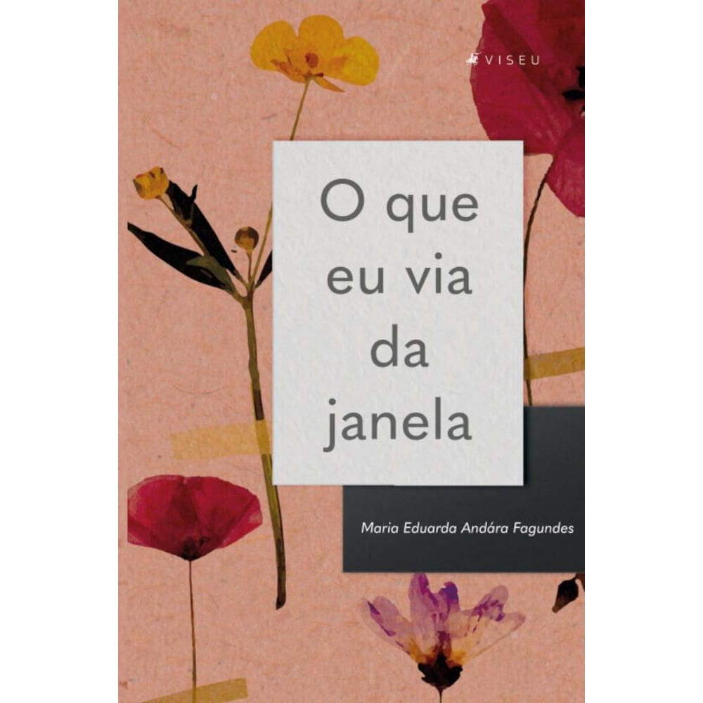 O que eu via da janela