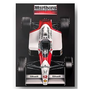 Quadro Placa Decorativo em Aluminio 20x28 cm Carro Senna