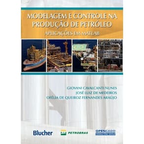 Modelagem E Controle Da Producao De Petroleo