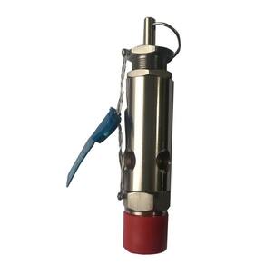 Válvula De Segurança 1/4 Aço Inox Aferida Para 13,3kgf/cm2