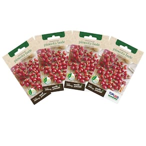 4X Sementes de Pimenta Bode (Vermelha) TOPSEED
