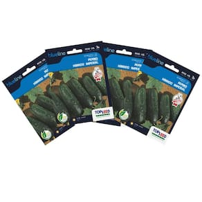 4X Sementes de Pepino Híbrido Imperial Blueline TOPSEED