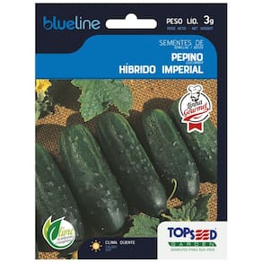 Sementes de Pepino Híbrido Imperial Blueline TOPSEED