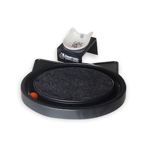 Kit Comedouro Elevado Preto  + Brinquedo Interativo com Bolinha para Pet