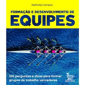 Livro Caixinha - Formação E Desenvolvimento De Equipes