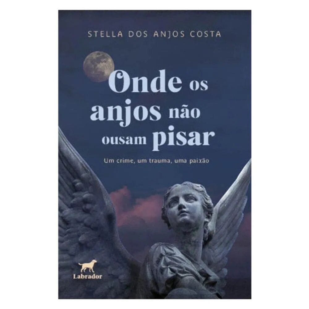 Onde os anjos não ousam pisar