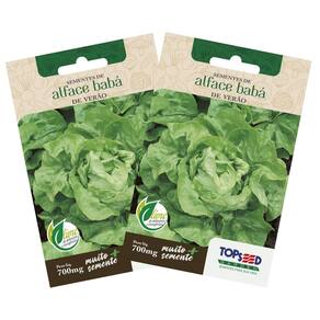 2X Sementes de Alface Babá de Verão (Manteiga) TOPSEED