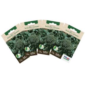 4X Sementes de Brócolis Ramoso Santana TOPSEED