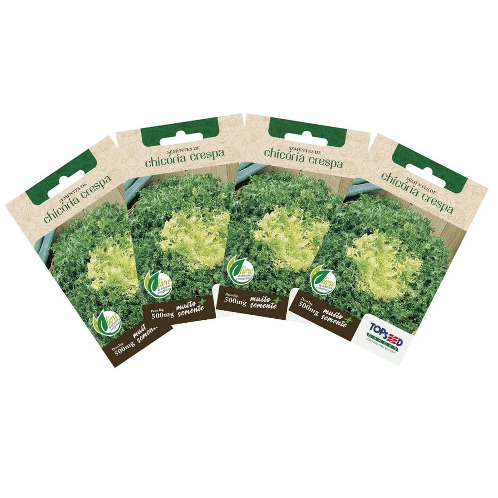 4X Sementes de Chicória Crespa TOPSEED