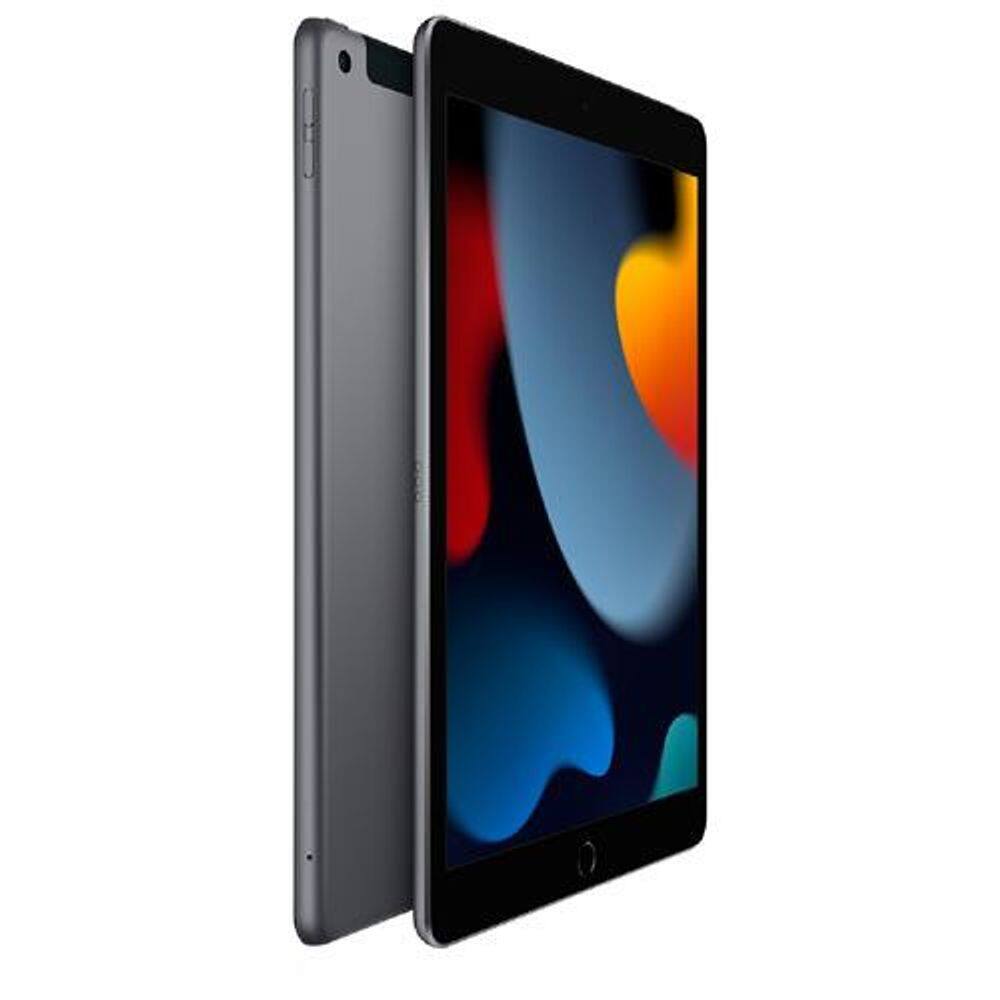 iPad Apple (9° Geração) A13 Bionic | Casas Bahia