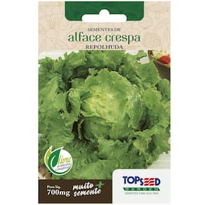 Sementes de Alface Crespa Repolhuda TOPSEED
