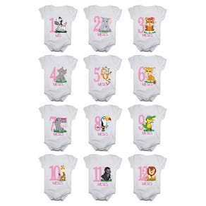 Kit body de bebê mesversario manga curta safari menina 12 bodies 1 a 12 meses