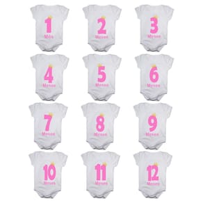Kit body de bebê mesversario manga curta números rosa 12 bodies 1 a 12 meses