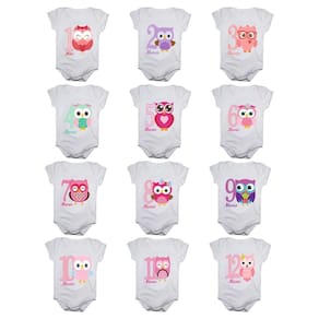 Kit body de bebê mesversario manga curta estampa corujinhas 12 bodies 1 a 12 meses