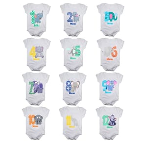 Kit body bebê mesversario manga curta estampa elefantinhos 12 bodies 1 a 12 meses