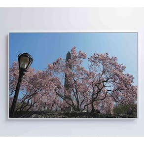 Quadro árvore Cerejeira 2 60x40 Cm Tecido Canvas