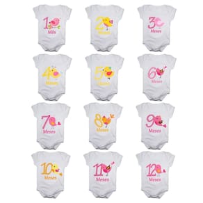 Kit body bebê mesversario manga curta estampa passarinhos 12 bodies 1 a 12 meses