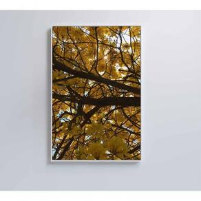 Quadro Flores Ipê Amarelo 2 60x90 Cm Adesivo Fotográfico