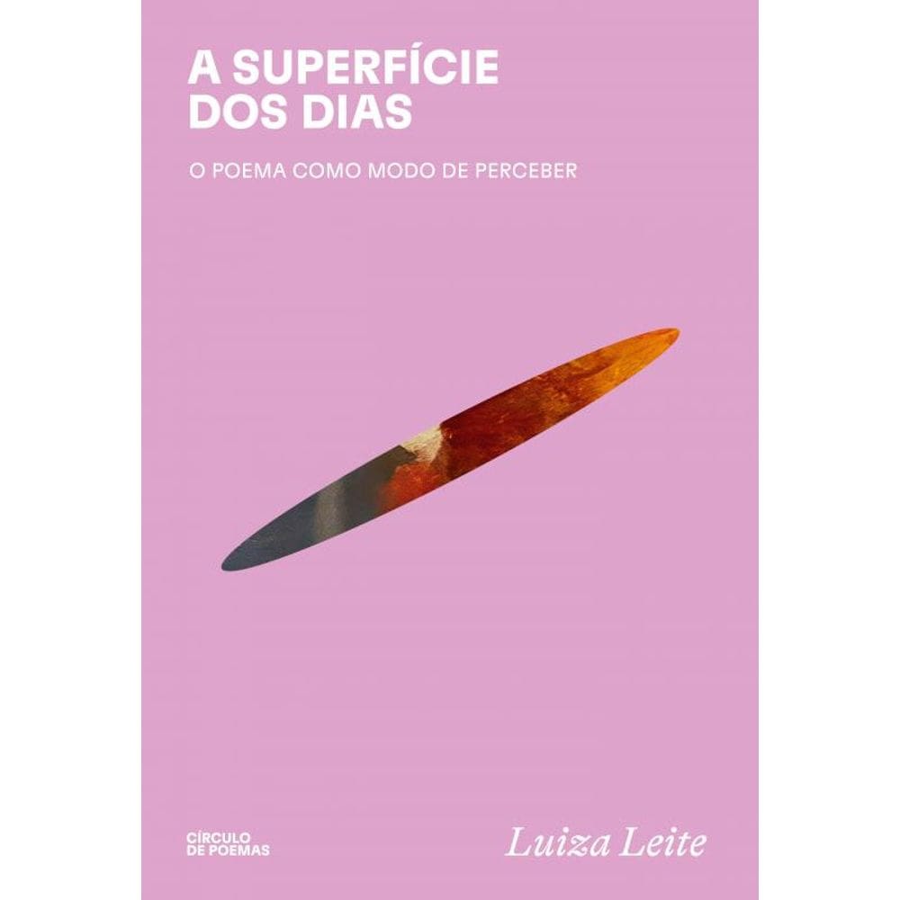 A superfície dos dias: : o poema como modo de perceber