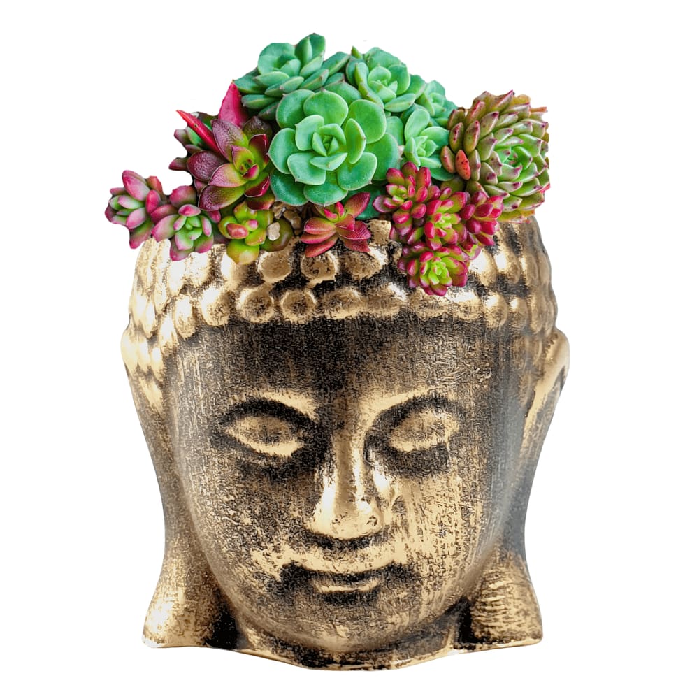 Cachepot para plantas Buda cabeça vaso decorativo resina Pequeno