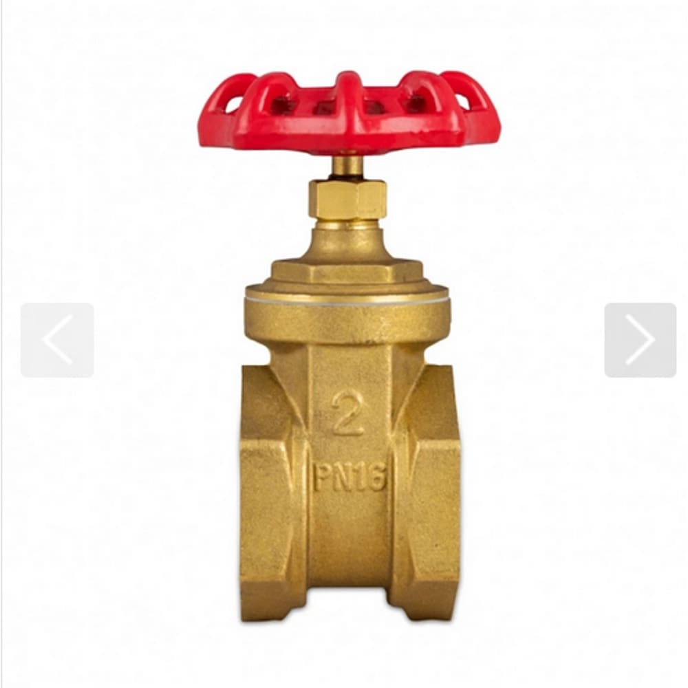 Valvula gaveta 2 1/2&quot; registro bruto