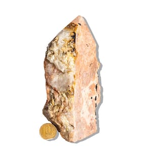 Turmalina no Feldspato com Mica Pé e Bico Serrado 550g 14cm