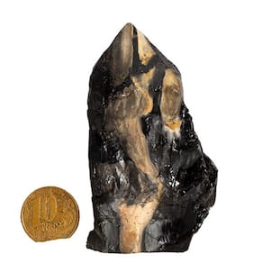 01 Ônix Preto Pé e Bico Serrado 100 a 200g 5 a 10cm Tipo B