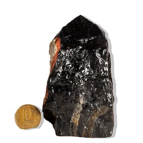 01 Ônix Preto Pé e Bico Serrado 200 a 300g 5 a 10cm Tipo B
