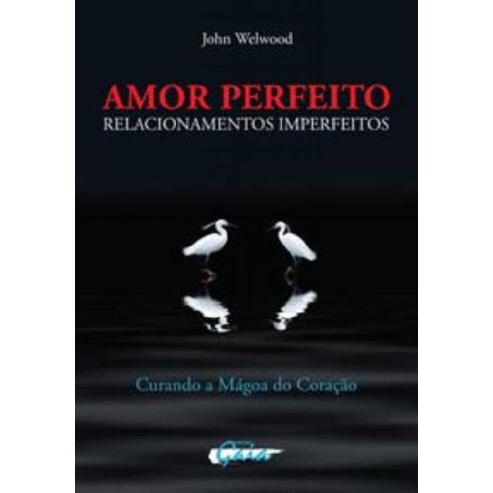 Amor Perfeito Relacionamentos Imperfeitos