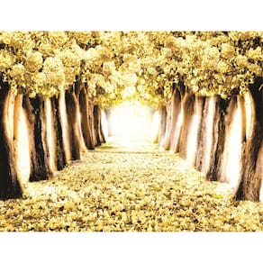Fundo Fotográfico Em Tecido Cerejeras Amarela 2,20X1,50
